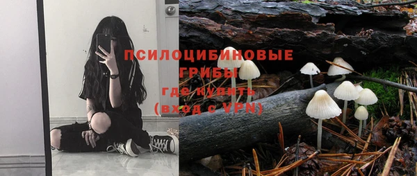 шишки Алзамай
