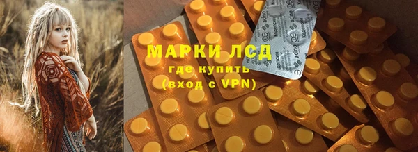 шишки Алзамай