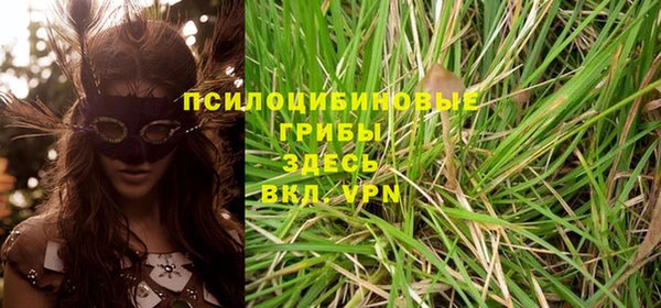 apvp Алексеевка