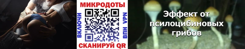 KRAKEN ссылки  Вологда  Псилоцибиновые грибы GOLDEN TEACHER 