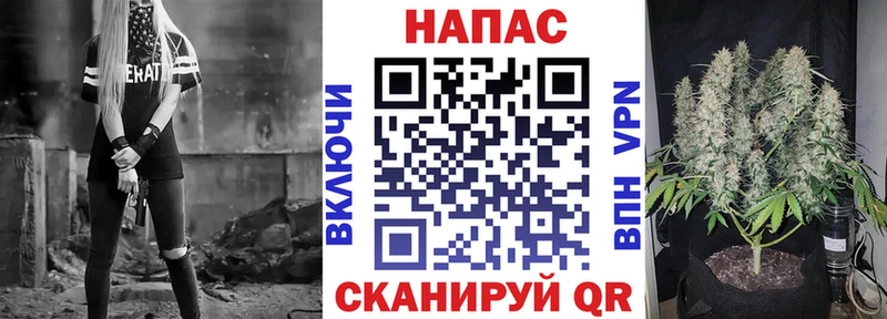 Бошки марихуана индика  Вологда 